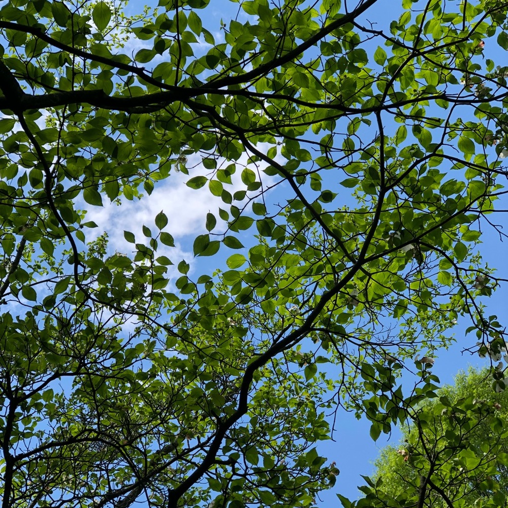 Meet your Posher, Ava